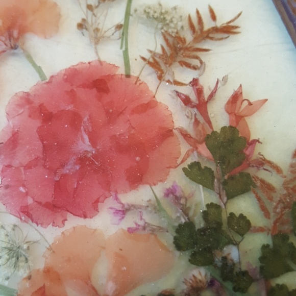 Real Pressed Flower Plated Picture. - Picture 3 of 5